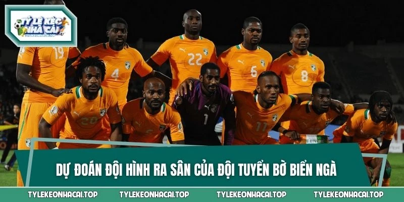 Dự đoán đội hình ra sân của đội tuyển Bờ Biển Ngà trong World Cup 2026